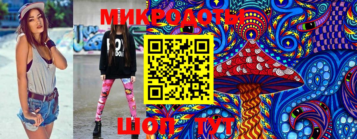 Галлюциногенные грибы Psilocybe Сатка